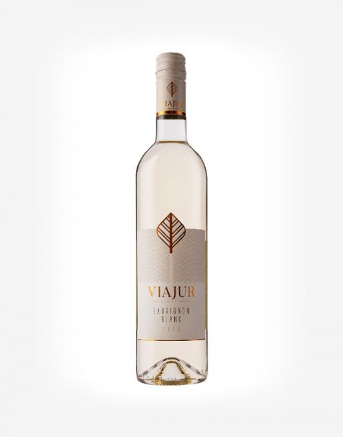 Sauvignon blanc 2025