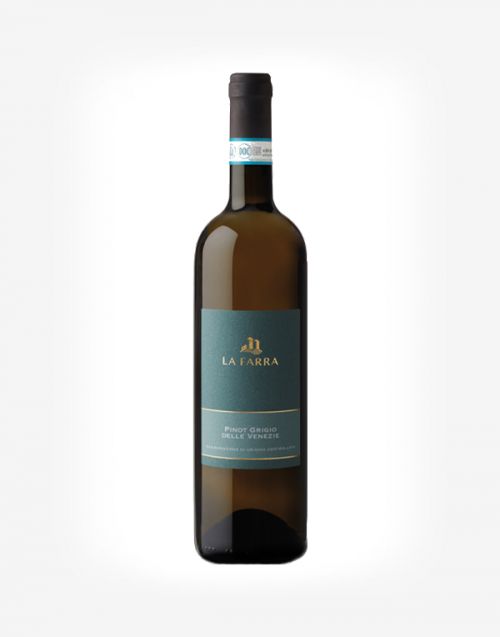 Pinot grigio delle Venezie DOC 2024
