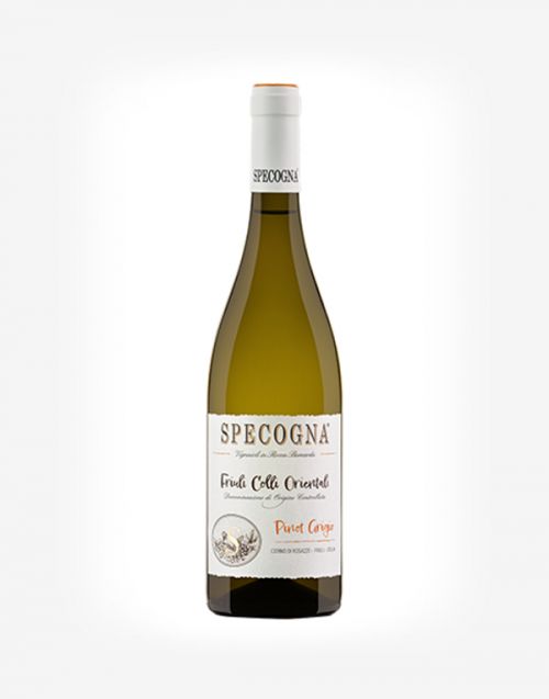 Pinot grigio Friuli Colli Orientali DOC 2023