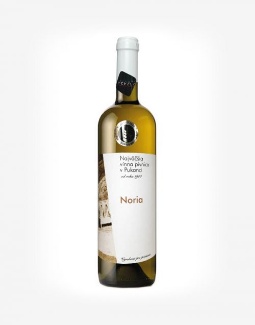 Noria 2024