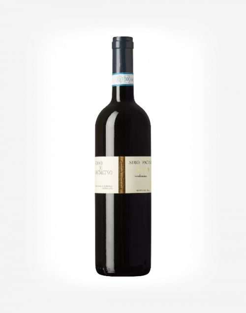 Rosso di Montalcino DOC 2021