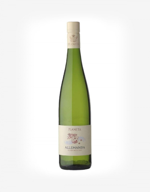 Allemanda Moscato bianco 2024