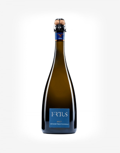 Sekt Noria Tekov 2024