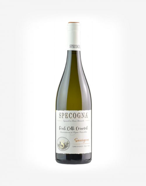 Sauvignon Friuli Colli Orientali DOC 2024
