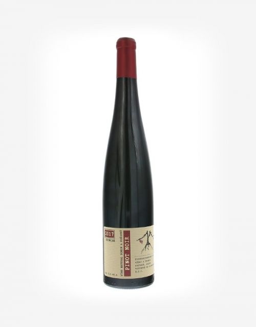 Pinot noir BIO 2021