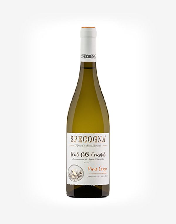 Pinot grigio Friuli Colli Orientali DOC 2023