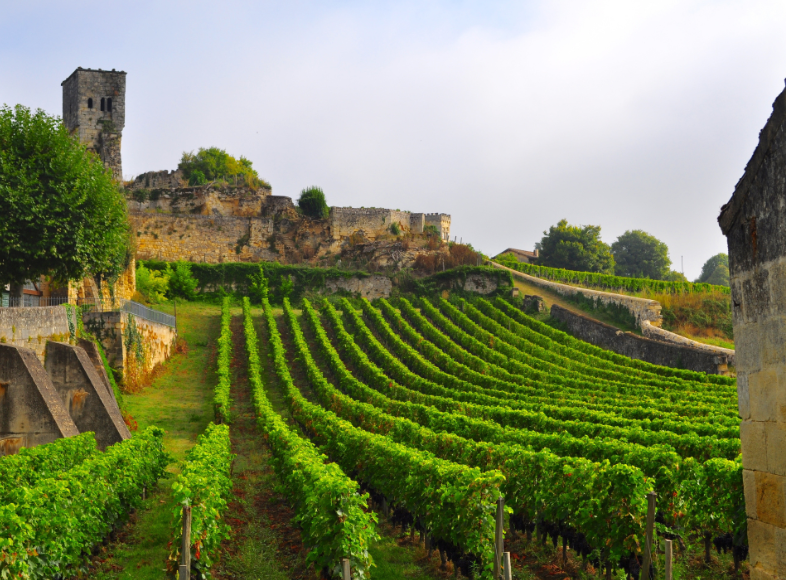 Saint Émilion - 800 rokov vývozu vína