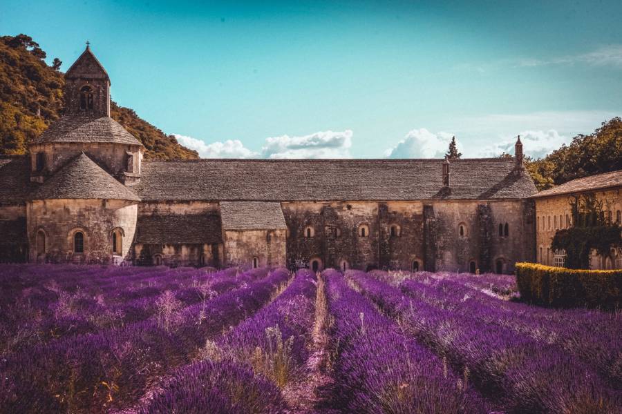 Provence - kráľovstvo ružových vín