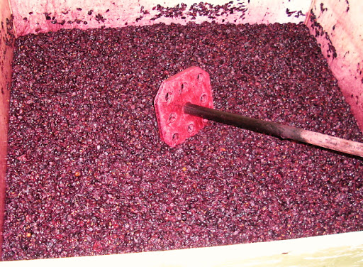 Výroba červeného vína