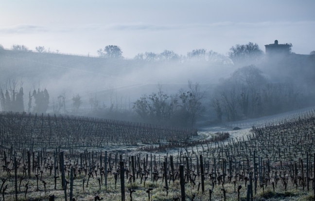 Bordeaux zima