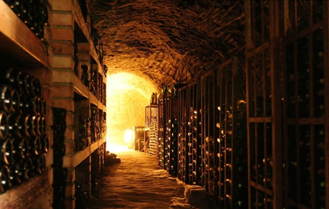 BDX aging