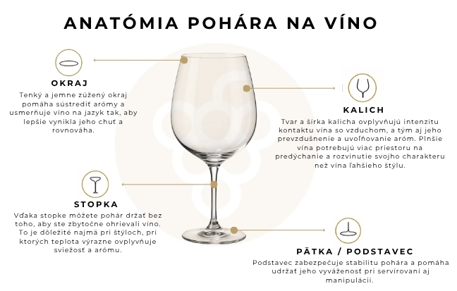Anatómia pohára na víno